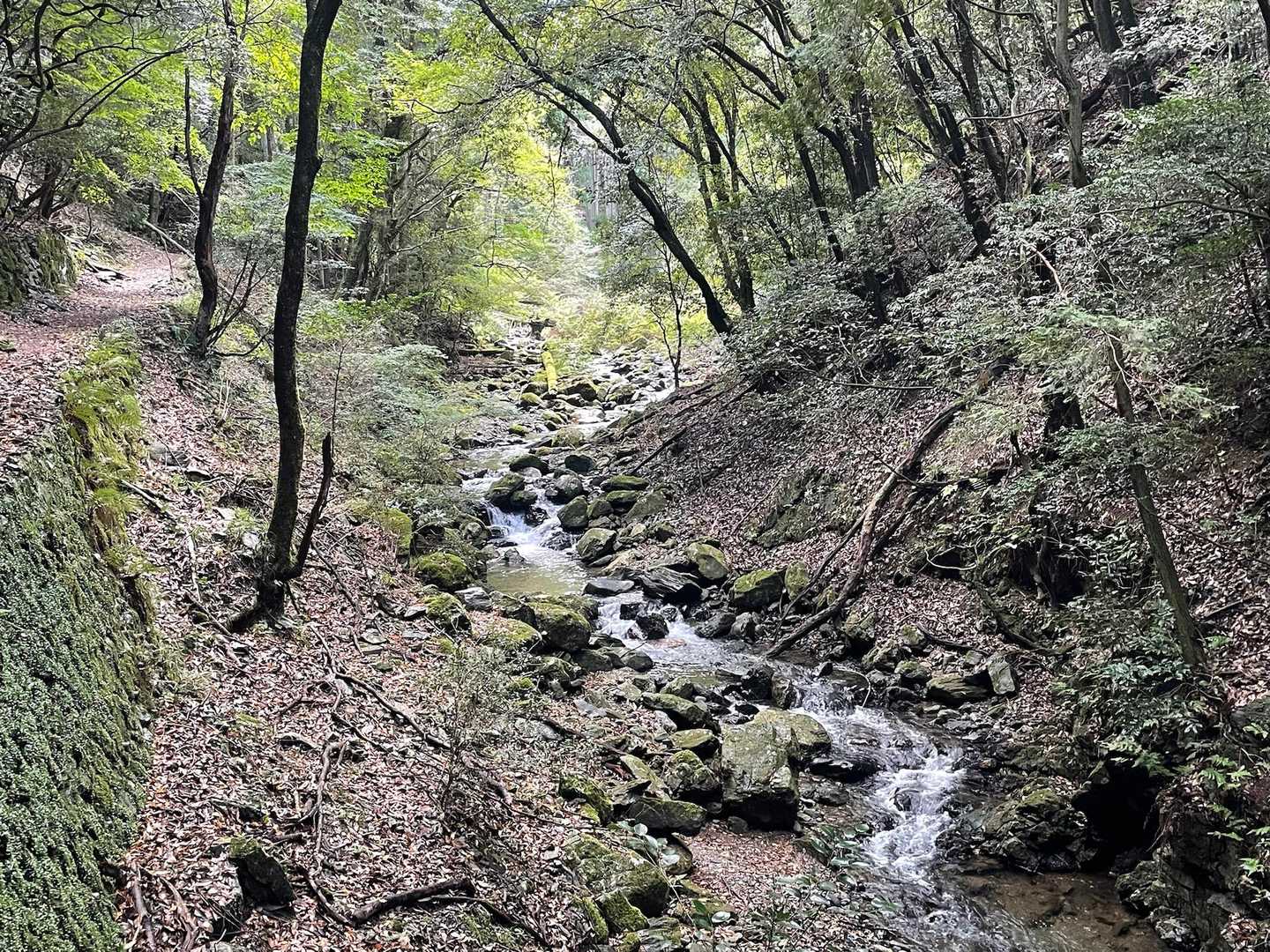 流れが逆に
愛宕山から流れてる 堂承川