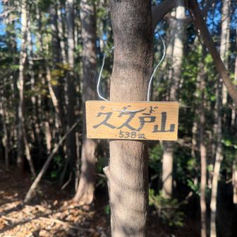 途中にあったグレーピークを回収
ココは飯能百名山の三座目