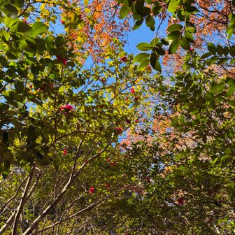 トンネルの下から🌺

もう一度くらい来たいな😊