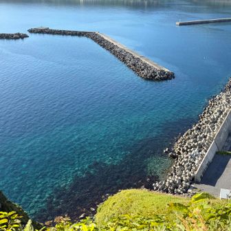 海がめっちゃきれい