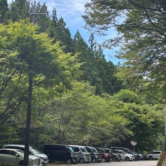 ほぼ🈵の駐車場
オオキツネノカミソリ目当てに県外No.もちらほら🚗