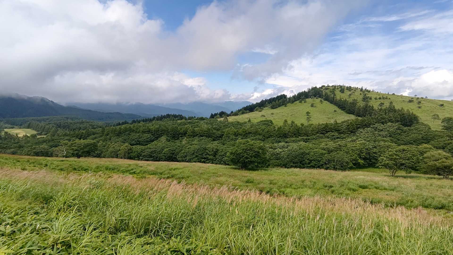車山肩バス停-車山乗越-南の耳-男女倉山-蝶々深山 周回コースの写真