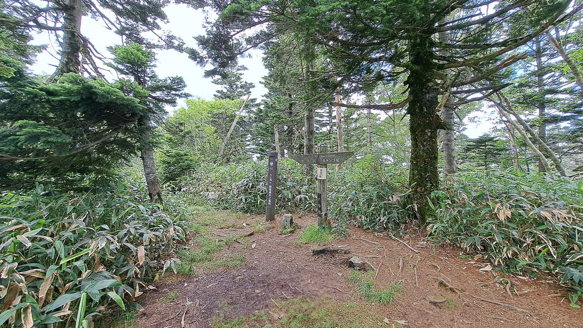 　三壁山山頂は樹林帯の中で見晴らしはありません。
　ガイドブックにオコジョが居るとの話でしたが会うことは叶いませんでした。