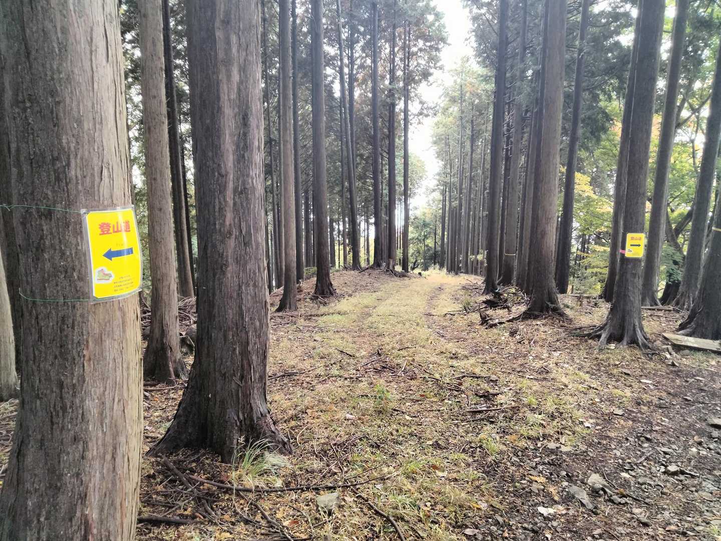基本的によく林道と交わりますが迷わないように掲示してくれております✌️