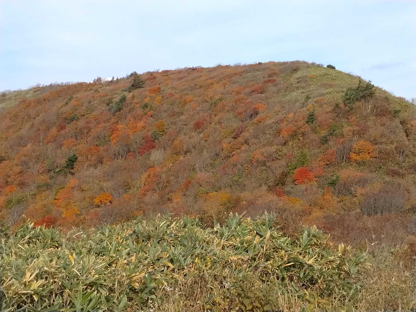 大関山