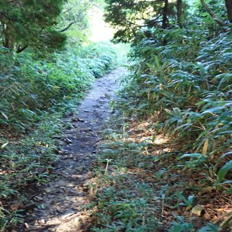 再び登り返し