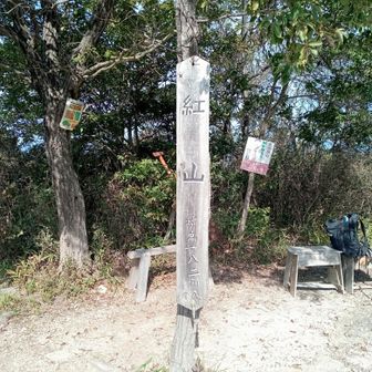 5ピーク目の紅山に到着。名所の岩稜の下りは迂回路が勧められていますが、もちろん岩稜を下ります。