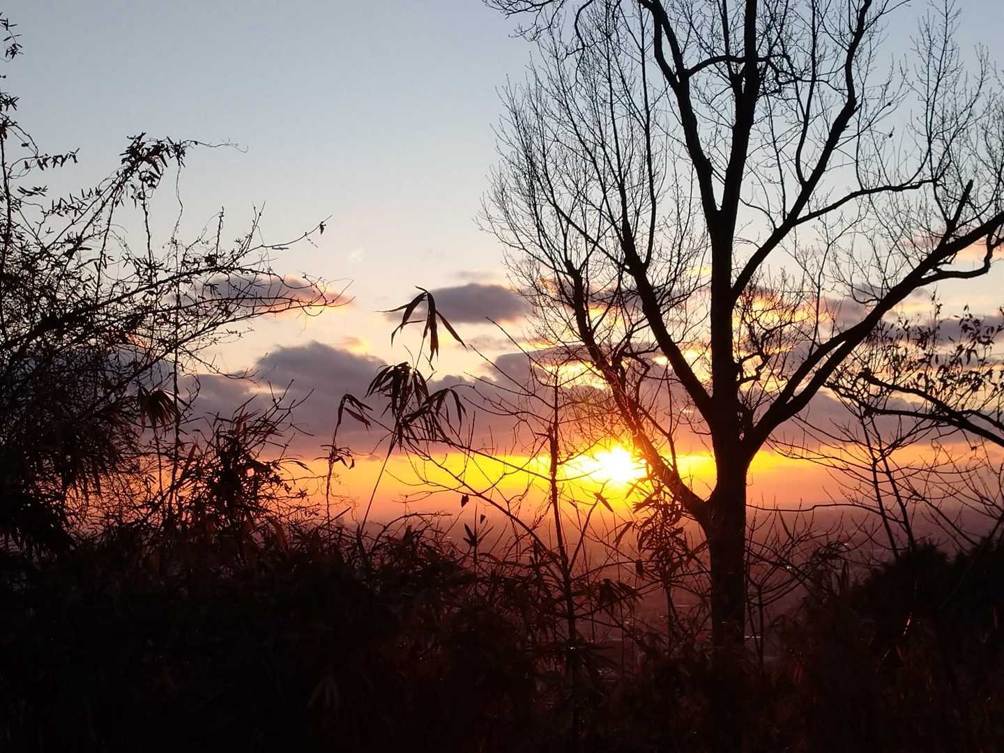 夕日が綺麗です😆👍