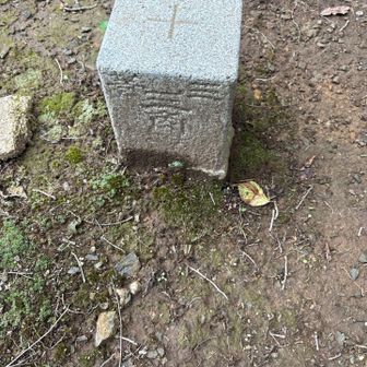 三角州