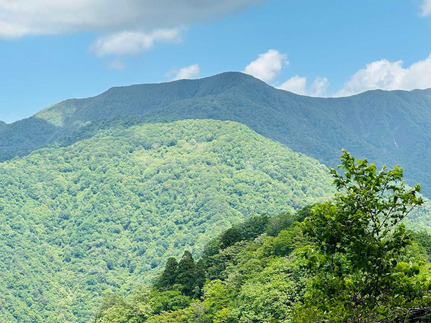 木々の隙間から大地山⛰️
もう雪無し☃️