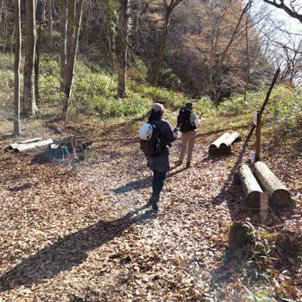 広々した鞍部。