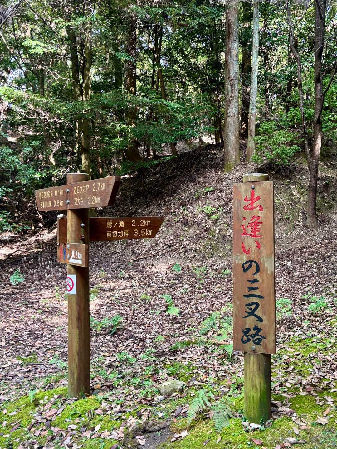 若草山麓バス停 往復コースの写真