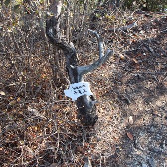 小竜王　標識11
ここでおやつタイム