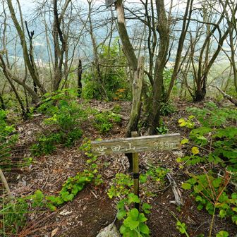 登山道の反対側に
マシな山頂標識があったよ。