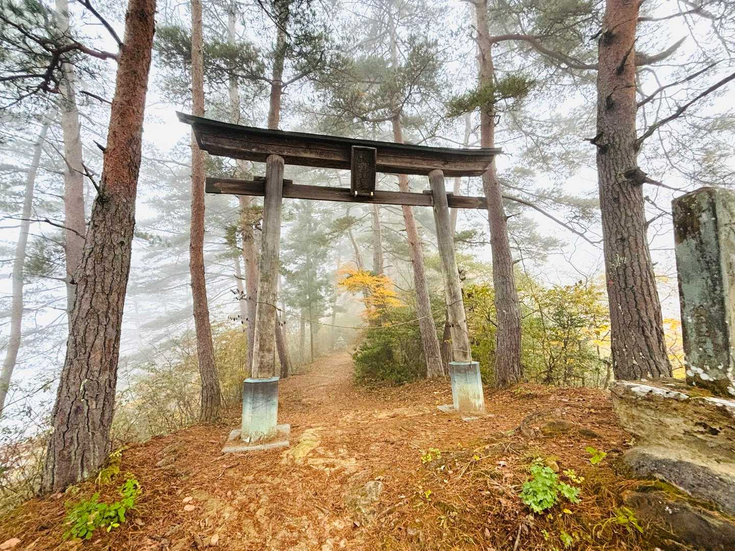 大姥神社鳥居