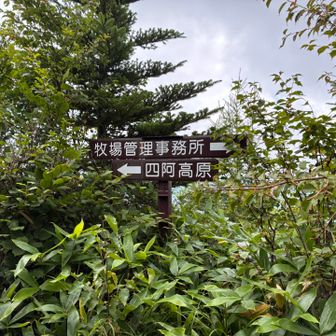 事務所方面ね