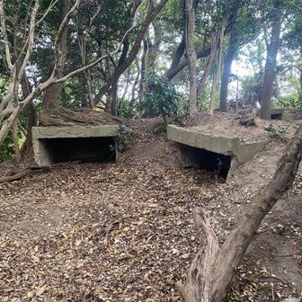 砲台跡を上から見た様子じゃ🥸
時間がここだけ止まった様な…