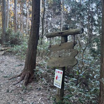 ココからの降りは　アイゼン要らなかったですけど　ガレで脚くねって　コケました＾＾