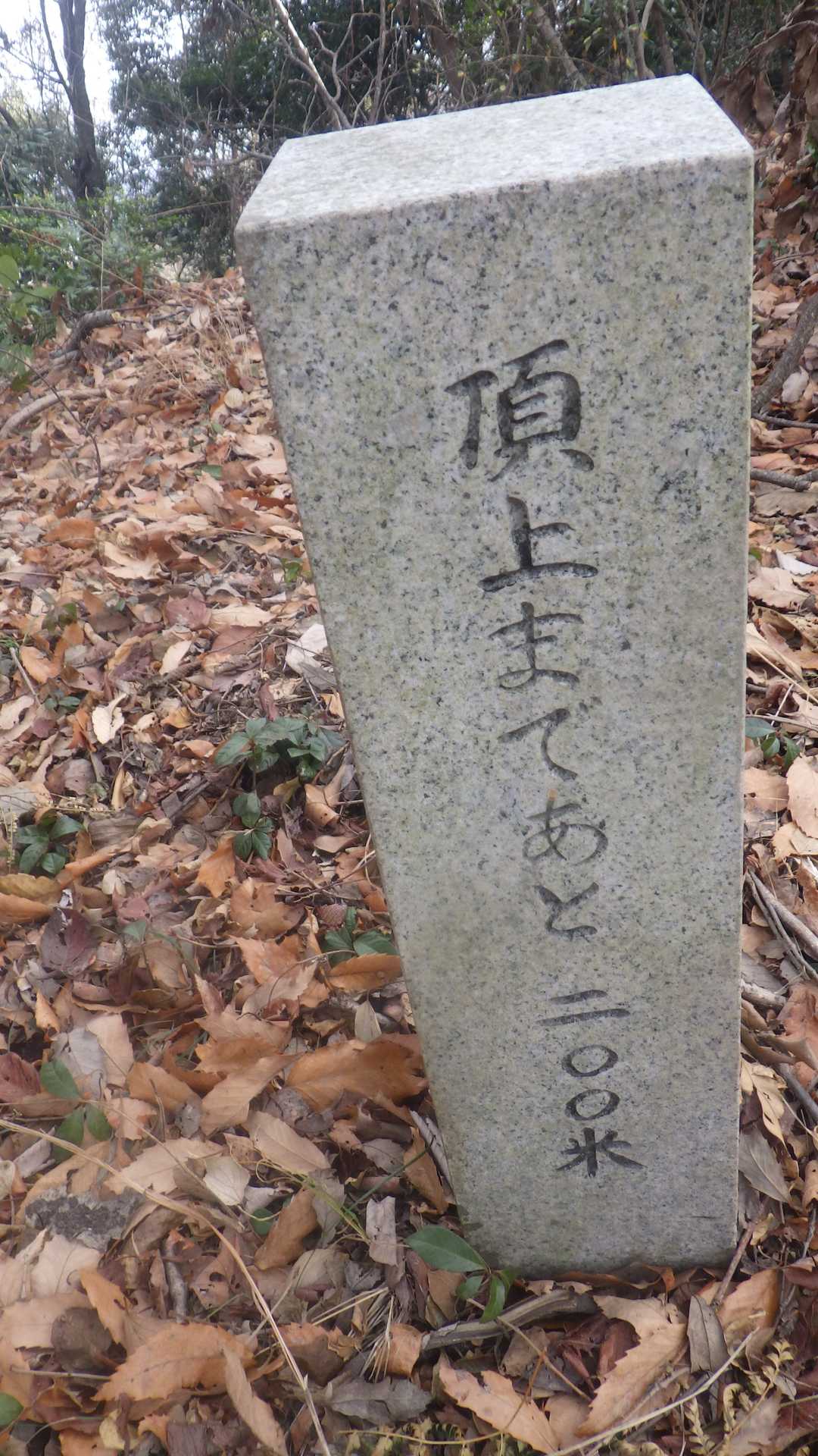 ハ－まだまだ
山頂手前は、摺りそうですよ