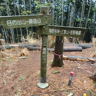 ラニヘッドトレイル登れました🎉