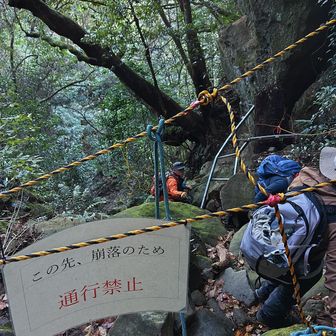 象の墓場へのルートが分からず、近くにいた方に尋ねて、自己責任で立ち入り禁止区域に入りました