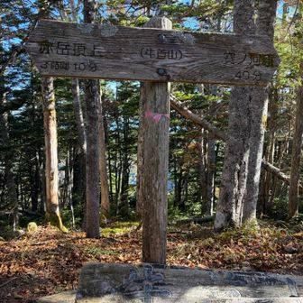 牛首山に到着✌️

実はこのお山がYAMAPを始めてからの800座目となります🎉
