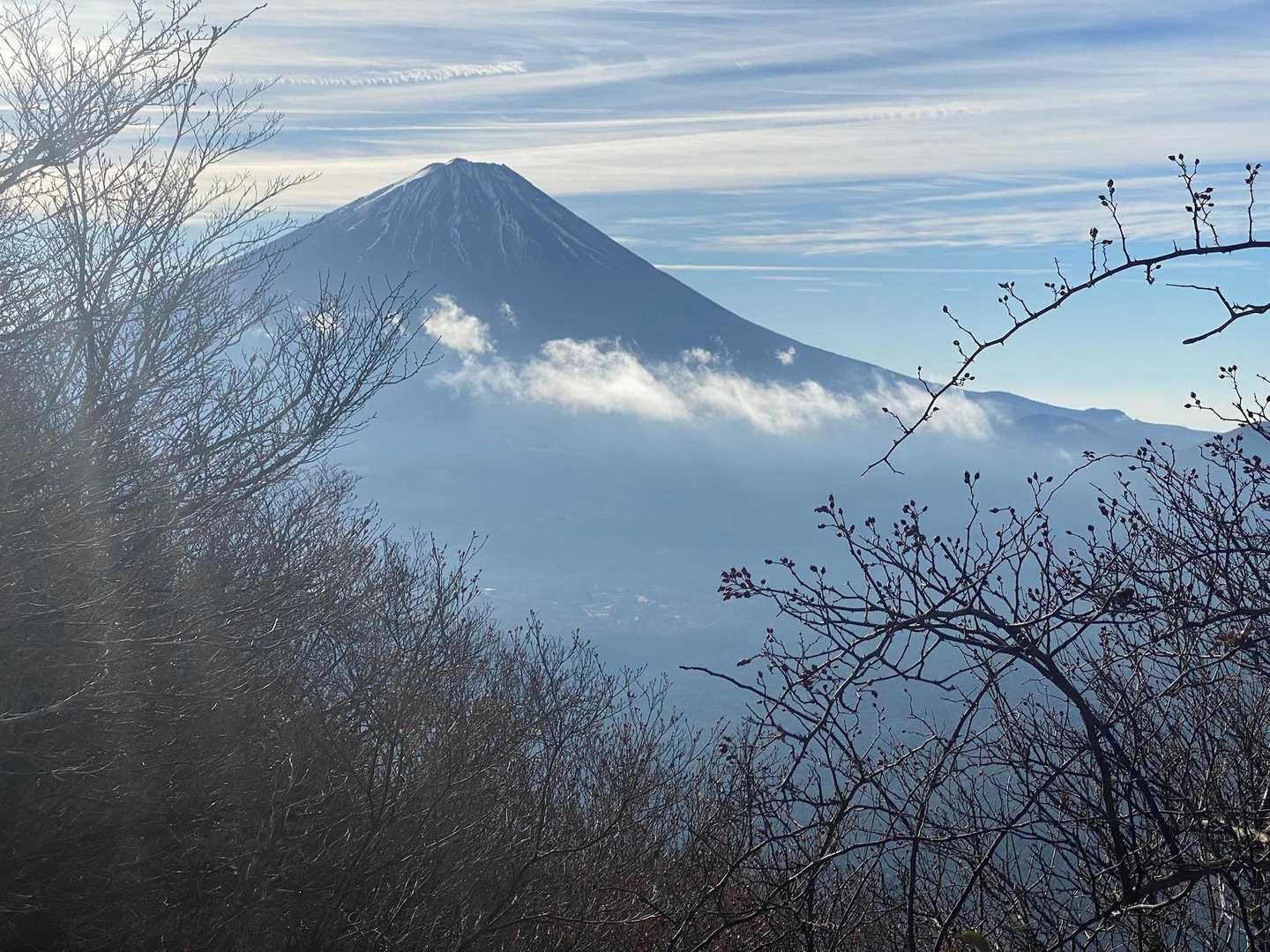 美しい
