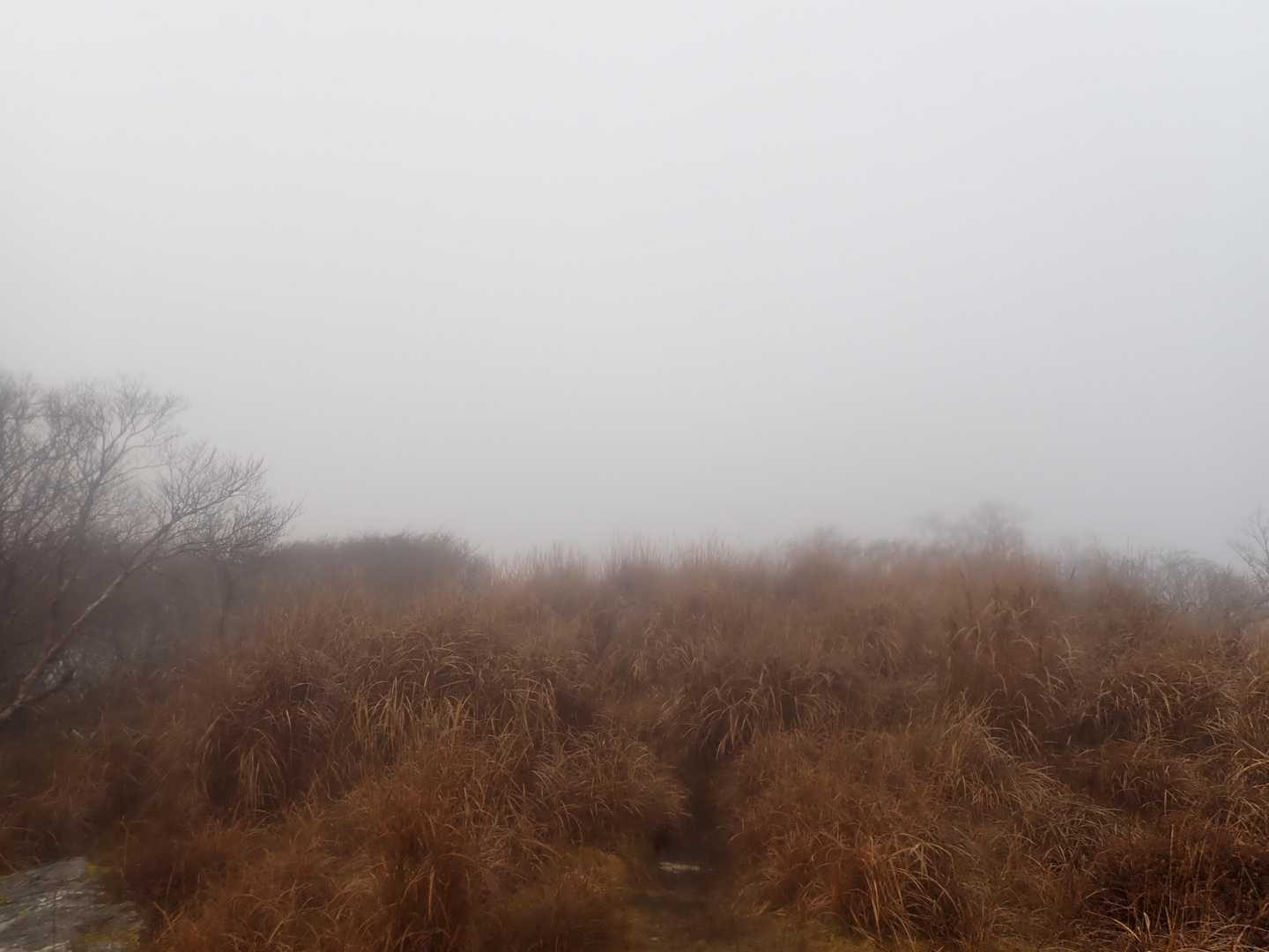 ここで引き返してべふ峡へ紅葉を見に行こうかと考えていると