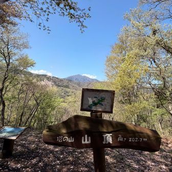 山頂から大山も見える🤩