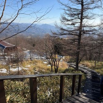 今の季節は、観光客の方も来られるのかしら