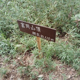 13座目：富岡山