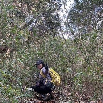 でも、オッケー👌



寸劇にお付き合いくださってありがとうございました
これがやりたくて登りました💦