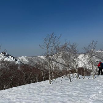 白森と稜線を眺め