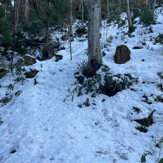 いきなり急登😁