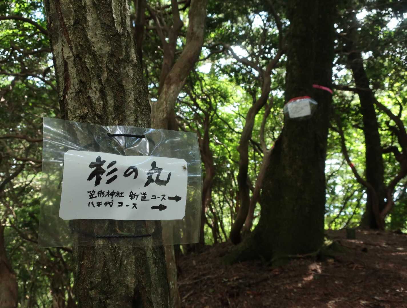 新ルートへの分岐点
背後には→