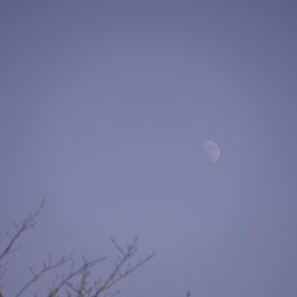 月だよ