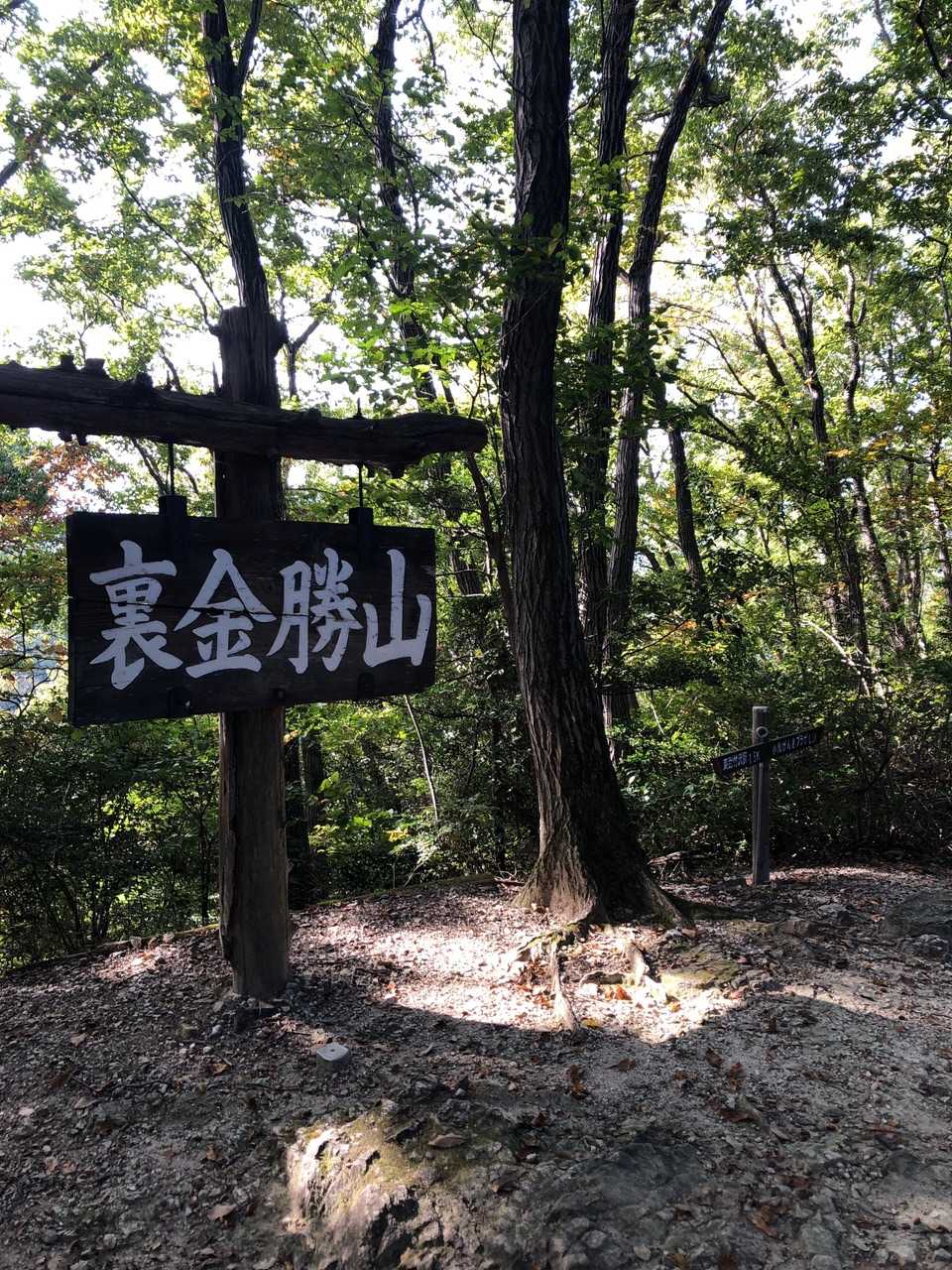 とても立派な山頂標識。眺望はなかったです。