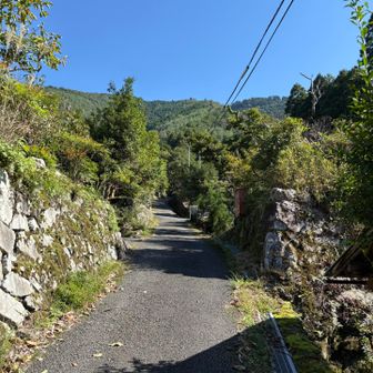 ここから登山口