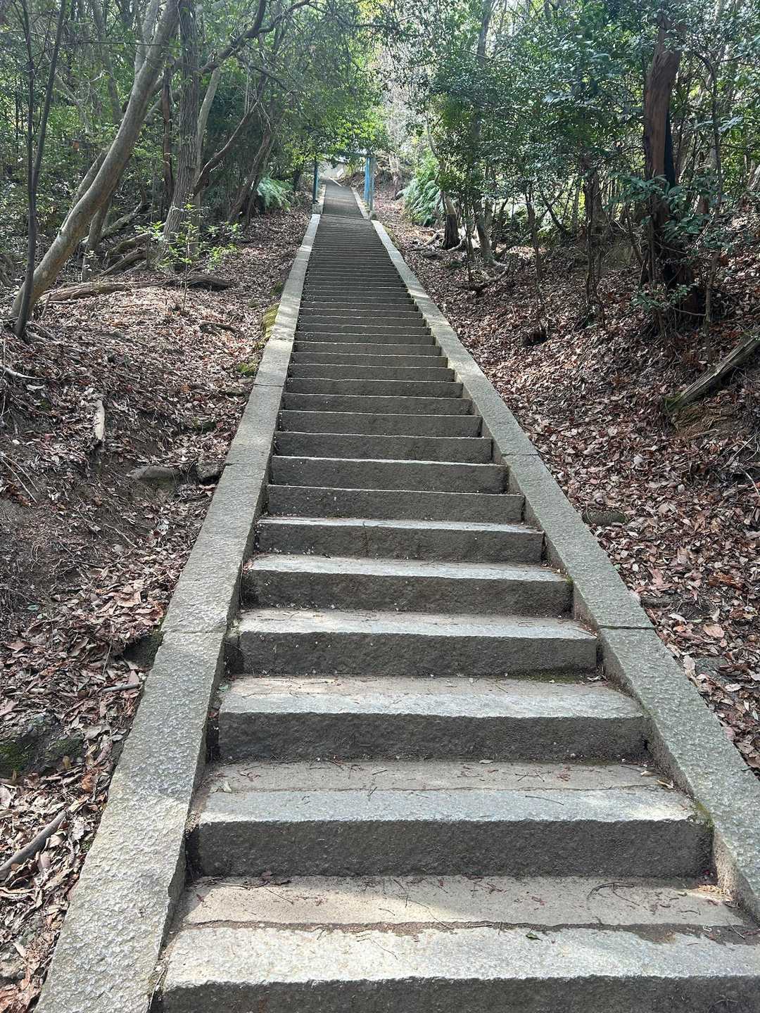 ありました！！！