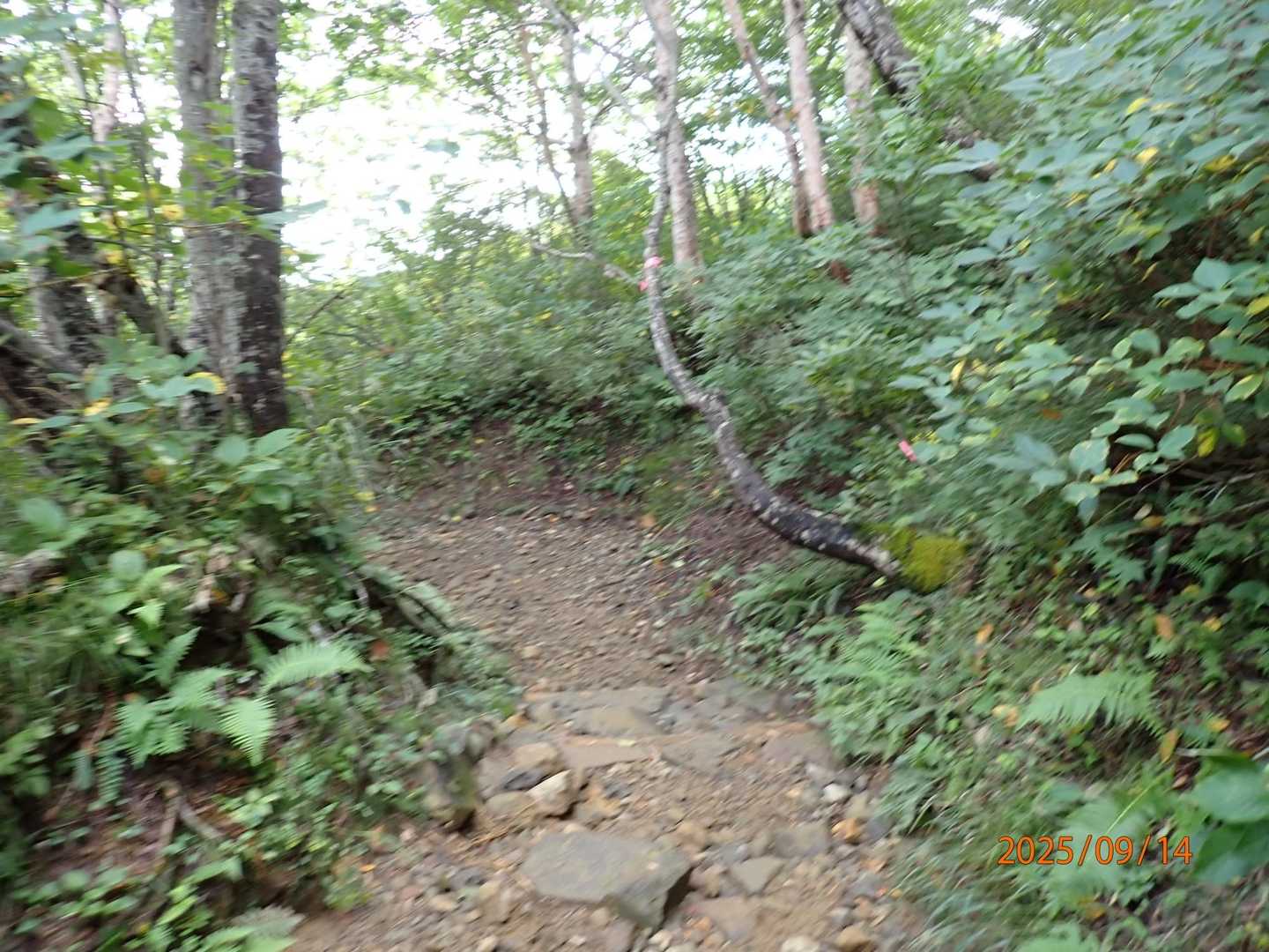 下山道