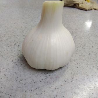 そうしたいのはやまやまだ