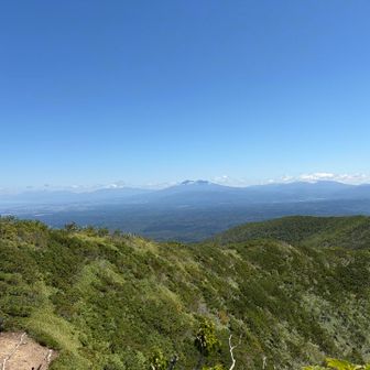 どこの山❓
斜里岳だそうです。