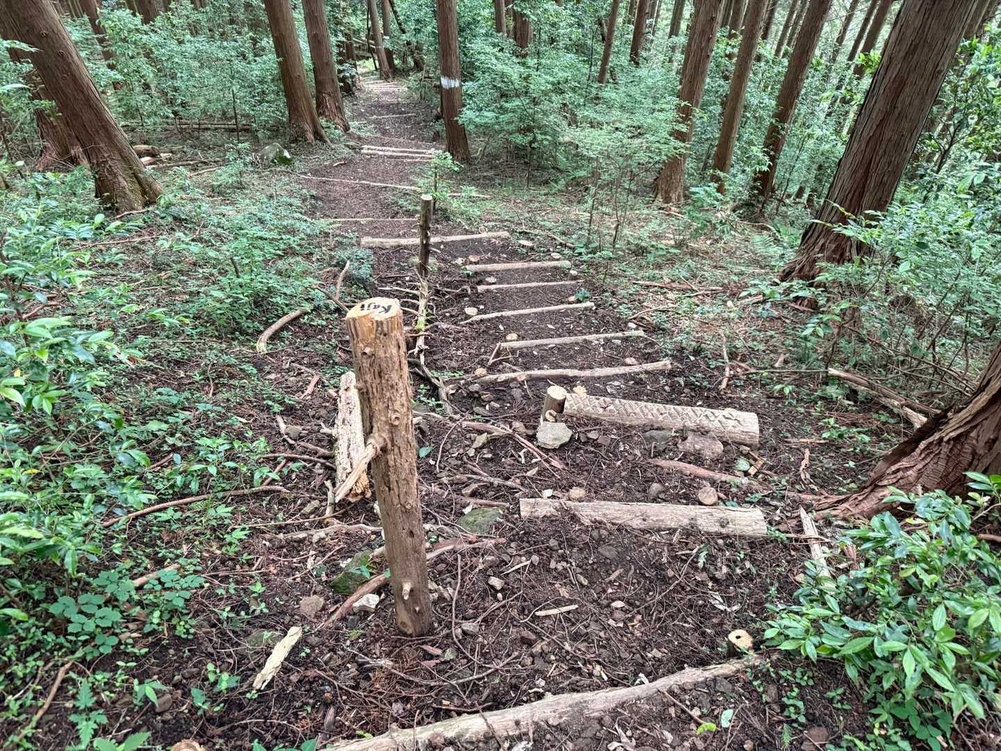 粟ヶ岳登山道入口-粟ヶ岳-岳山・高塚山登山口-高塚山-岳山 周回コースの写真