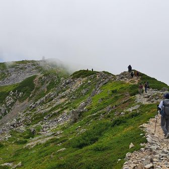 浄土山から龍王岳に向かいます
ガスが上がってきました☁️