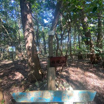 権現山登頂🥾
暑すぎて全身ずぶ濡れ😇