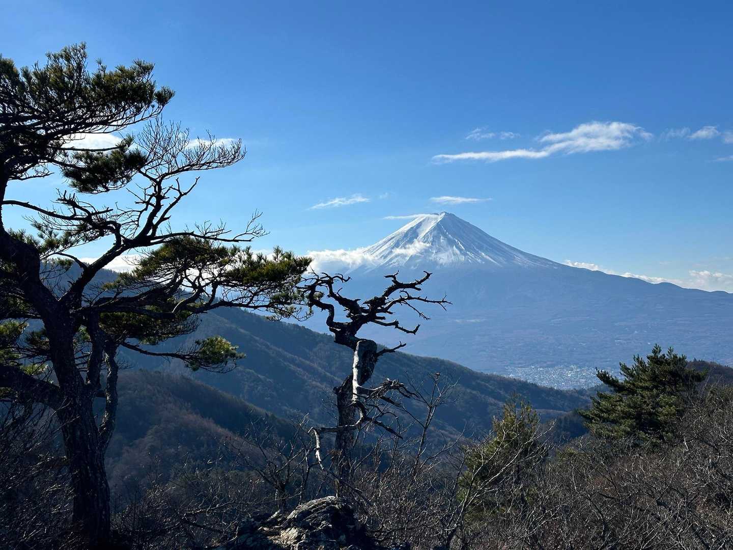 清八山から望む富士山。