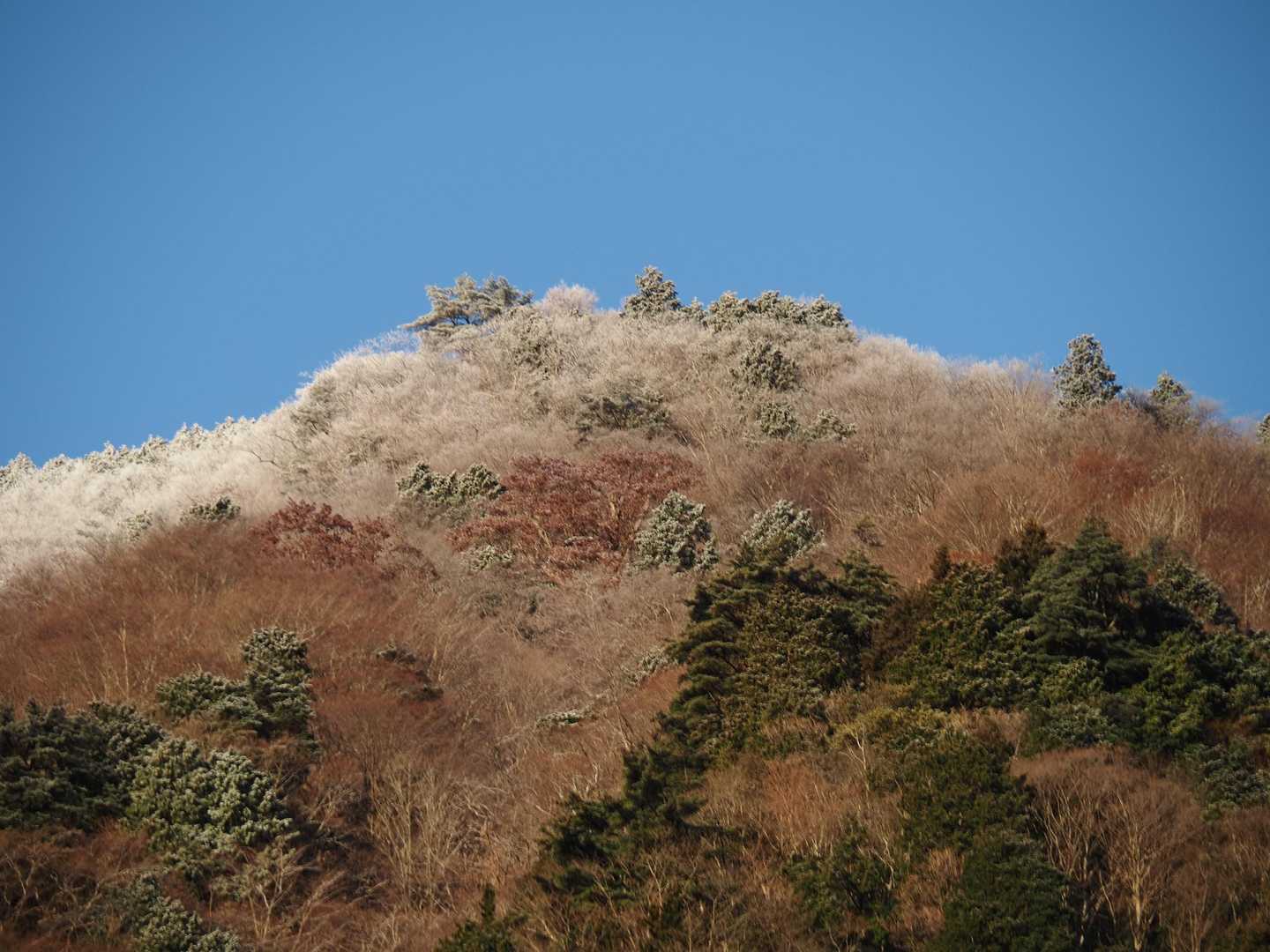 弥山-八経ヶ岳-細尾山 周回コースの写真