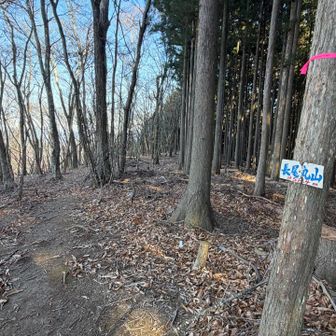 激登を経て長尾丸山。　次のピークが棒ノ折山になる