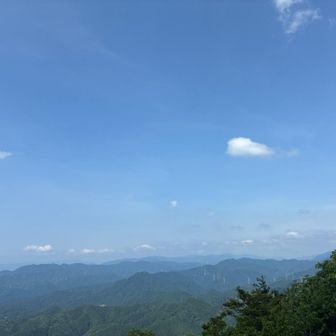 
高温多湿 がすみ なのですかね 😆
空気 が もわっとしてますよね
今日も カスミちゃん ですね
