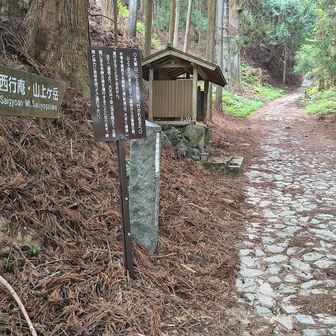 金峯神社から先はいよいよ山道に